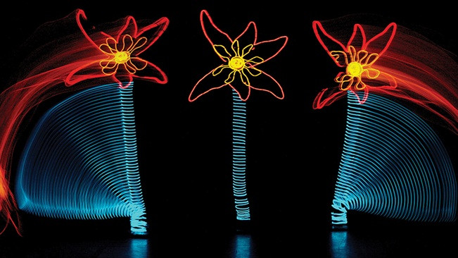 beat365官网_国家林业局调查规划设计院开展“湿地生态系统保护与管理”业务技